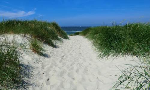 Strand Ferienhaus Zingst